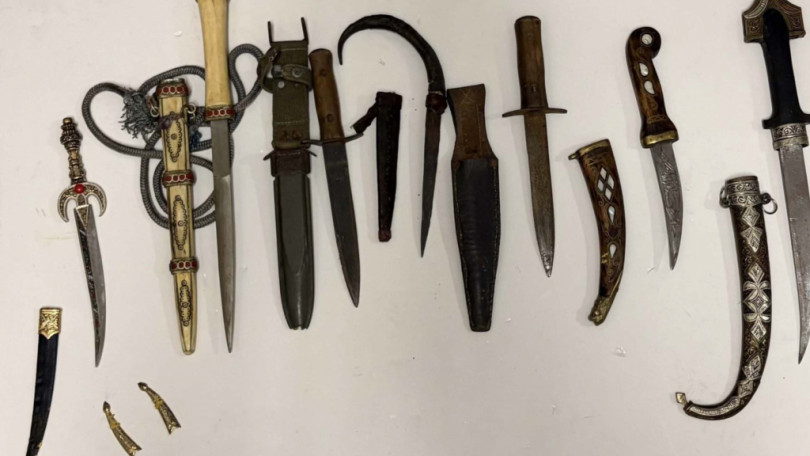 Arrestata dai Carabinieri la ladra seriale delle cantine